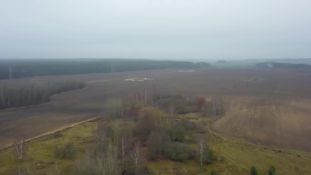 Top Kilátás Őszi Mezőgazdasági Mezők Köd Köd Köd Borítja Őszi — Stock videók