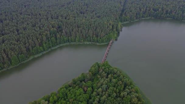 Fly Old Bridge River Narrow Gauge Railroad Forest Rain Nature — Stock Video