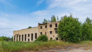 Babichi köyündeki Polessky radyasyon-ekolojik rezervinde terk edilmiş bir bina. Ekolojik kavram.
