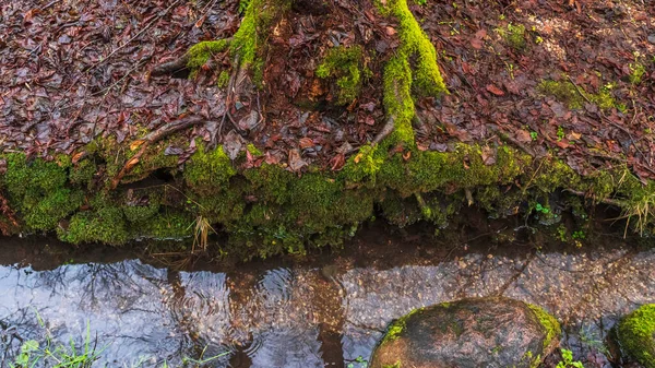 Текстура Холодной Воды Мелкие Камни Зеленый Мох Ручье Абстрактный Фон — стоковое фото