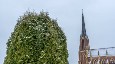 Bulutlu bir gökyüzüne ve bir kilisenin yüksek kulesine karşı yeşil bir arborvitae yakın çekim. Mesaj için yer var. Din kavramları.
