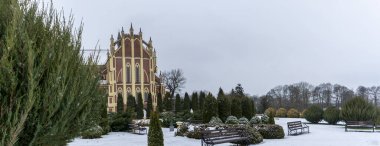Çimenlerle kaplı kar üzerinde ahşap bir bank. Peyzaj tasarımı. Arka planda ardıç ve thuja çalıları var. Kış kavramları.