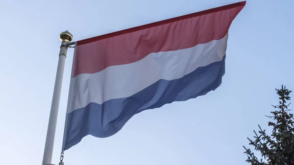 Národní Vlajka Holandska Stožáru Před Modrou Oblohou Slunečními Paprsky Světlicí — Stock fotografie
