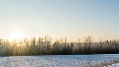 Kış manzarası. Güneş, tarla ve ağaçlarla kaplı. Kar tarlasında büyülü kış günbatımı. Doğa kavramları.