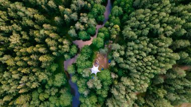 Gün batımında kıvrımlı bir nehri olan orman. İnsansız hava aracı ile hava fotoğrafçılığı.