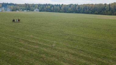 Bir grup tilki avcısının sonbahar tarlasında atların üzerindeki hava görüntüsü. Kırsal kesimde binicilik sporu. Geleneksel av kavramı.