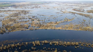 Dalgalanan sular altında kalan ağaçlar. Sudaki ağaçlar. Beyaz Rusya 'nın Turov kenti yakınlarındaki Pripyat Nehri' nin taşmasıyla manzara.