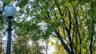 Yaz yeşilliklerinde sokak feneri. Güneş ışığı. Gün boyunca parktaki sokak lambası kapalı..