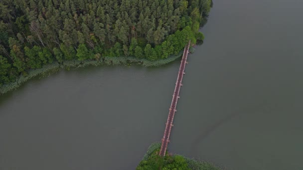Volar Sobre Viejo Puente Sobre Río Ferrocarril Vía Estrecha Bosque — Vídeos de Stock