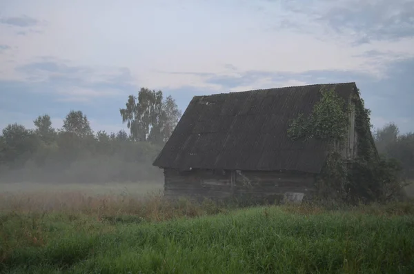 Винтажный Старый Дом Тумане Фоне Природы Луг Зеленой Травой Тумане — стоковое фото