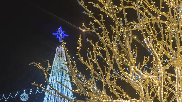 圣诞树和节日街上的花环灯光照明不集中 照片在夜间拍摄 — 图库照片