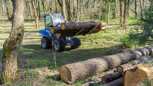 Mały Traktor Niesie Wycięte Lesie Kłody Koncepcja Przemysłowa Kontekst Natury — Zdjęcie stockowe