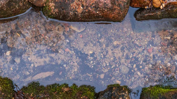 Struktura Studené Vody Malých Kamenů Zeleného Mechu Potoce Abstraktní Pozadí — Stock fotografie