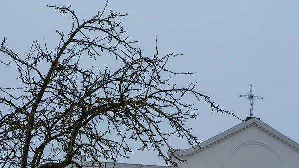 Католицький Дах Церкви Хрестом Через Голі Гілки Дерева Вид Купол — стокове фото