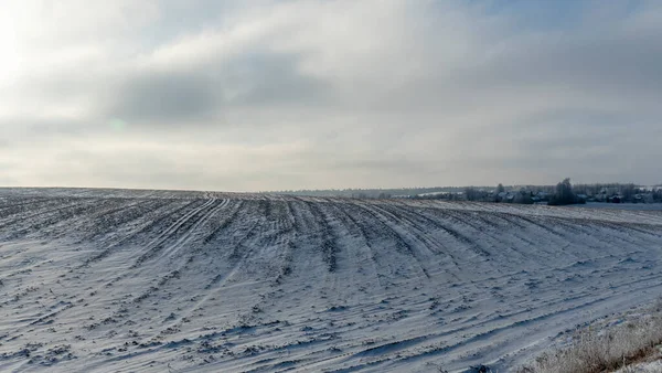 Zimowy Krajobraz Rolniczy Pod Śniegiem Drzewami Tle Zimowy Krajobraz Śnieżnym — Zdjęcie stockowe