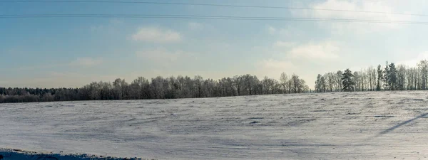 Winter Farmland Scenery Landscape Snow Trees Background Winter Landscape Snow — Stock Photo, Image