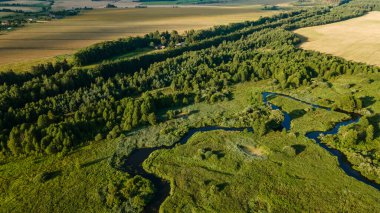 Yeşil ormanın ortasındaki köy, huzur ve sessizlik. Drone 'dan bir atış. Hasat kaldırıldı..