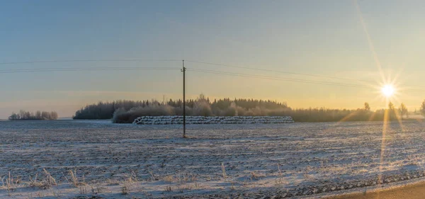 Vinterlandskap Snönatur Med Sol Fält Och Träd Magisk Vintersolnedgång Ett — Stockfoto