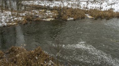 Kışın erken saatlerinde bulutlu bir günde küçük bir nehrin kış manzarası. Kristallerin içinde kurumuş çimenler var. Kışın bir tarlada akan su..