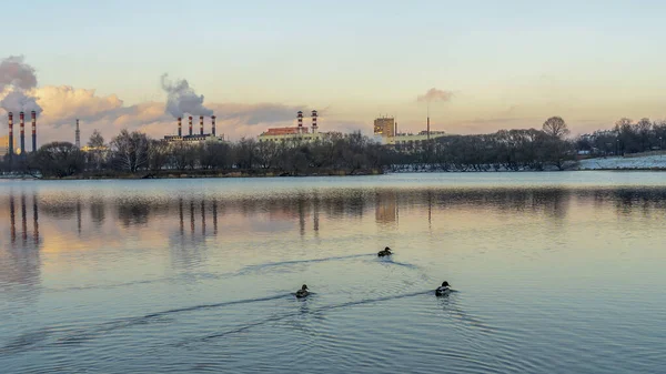 Birds Lake Sunset Front Factory Smokestacks Hydrothermal Power Plant Lake — Stock Photo, Image