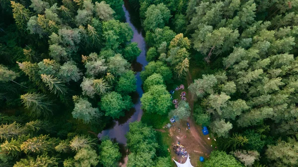 Лес Извилистой Рекой Закате Аэрофотосъемка Беспилотником — стоковое фото
