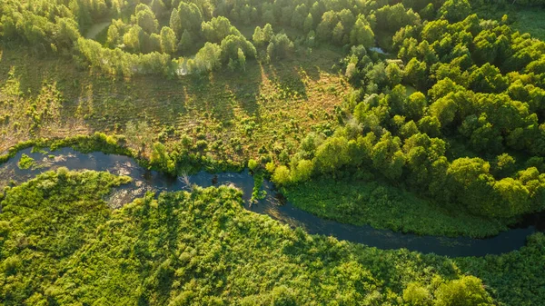 Forest Winding River Sunset Aerial Photography Drone — Stock Photo, Image
