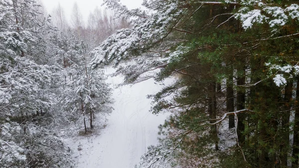 Der Winterwald Ist Mit Neuschnee Vor Dramatischem Himmel Bedeckt Schießen — Stockfoto
