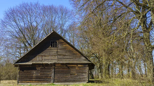 Terk Edilmiş Eski Bir Kır Evi Ağaçların Yatay Görüntüsü Taşra — Stok fotoğraf