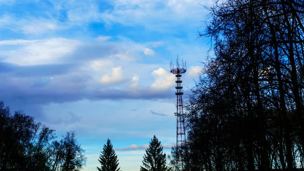 Big Television Radio Tower Trees Classic Blue Sky Background Space — Φωτογραφία Αρχείου