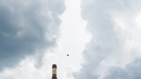 Forno Industrial Permutador Calor Cracking Hydrocarbons Factory Blue Sky Background — Fotografia de Stock