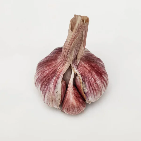 Close View Fresh Raw Purple Garlic Bulb Garlic Bulb Garlic — Stock Photo, Image