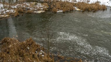 Kışın erken saatlerinde bulutlu bir günde küçük bir nehrin kış manzarası. Kristallerin içinde kurumuş çimenler var. Kışın bir tarlada akan su..