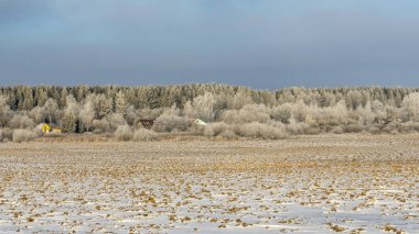 Arkasında ağaçlar olan kar altında kış tarım arazisi manzarası. Kırsalda karla kaplı kış manzarası. Metin için boşluk.