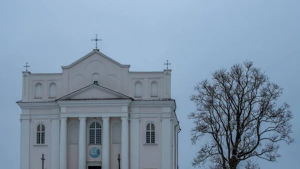 Ostrovets Grodno地域の聖人コスマスとダミアン教会は灰色の空を背景に木の枝を持ちます 崇拝と歴史遺産の概念 — ストック写真