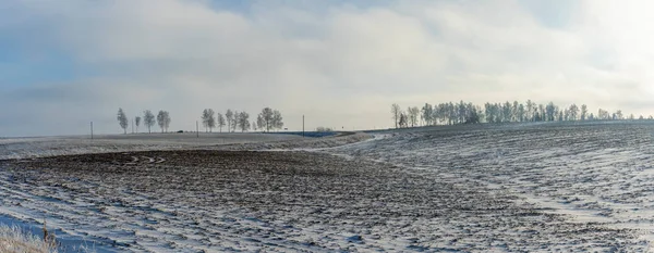 Zimowy Krajobraz Rolniczy Pod Śniegiem Drzewami Tle Zimowy Krajobraz Śnieżnym — Zdjęcie stockowe