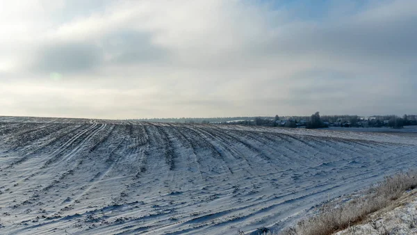 Zimowy Krajobraz Rolniczy Pod Śniegiem Drzewami Tle Zimowy Krajobraz Śnieżnym — Zdjęcie stockowe