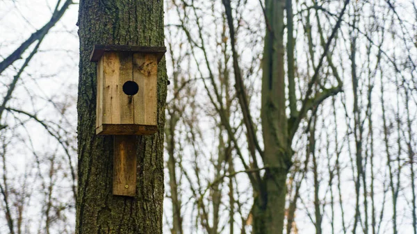 Caja Anidación Pájaros Madera Hecha Mano Simple Árbol Birdhouse Fondo — Foto de Stock