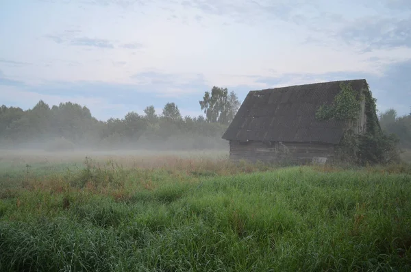 自然の背景に霧の中でヴィンテージ古い家 霧の中で緑の芝生の牧草地 テキストのスペース — ストック写真
