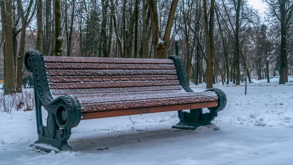 Magányos Pad Városligetben Télen Hóval Borított Pad Parkban Padot Földet — Stock Fotó