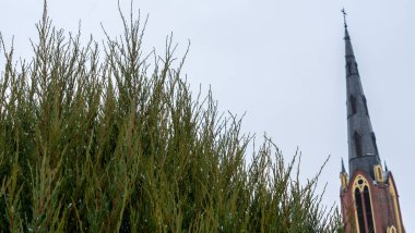 Bulutlu bir gökyüzüne ve bir kilisenin yüksek kulesine karşı yeşil bir arborvitae yakın çekim. Mesaj için yer var. Din kavramları.