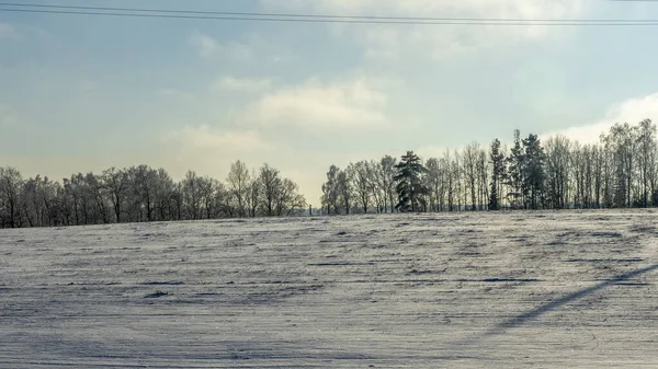 Zimowy Krajobraz Rolniczy Pod Śniegiem Drzewami Tle Zimowy Krajobraz Śnieżnym — Zdjęcie stockowe