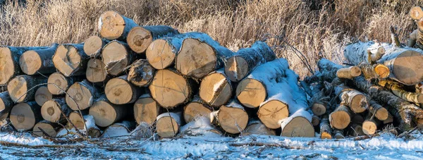 Staplade Stockar Skogen Vintern Trä Utanför Staplat Snö Tallstockar Till — Stockfoto