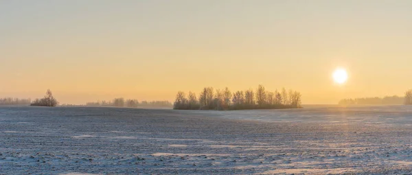 Zimowy Krajobraz Śniegu Przyrody Słońcem Polami Drzewami Magiczny Zimowy Zachód — Zdjęcie stockowe