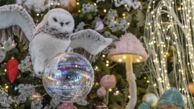 Kuş şeklinde bir Noel oyuncağı. Süslü Noel ağacı geçmişi. Mutlu yıllar konsepti. Mutlu yıllar konsepti. Işıklı bulanık arkaplan.