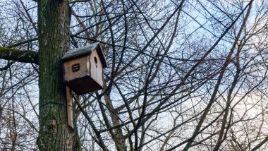 Ağaçtan sarkan kuş kafesi, giriş deliği daire şeklinde. Tasarım konsepti.