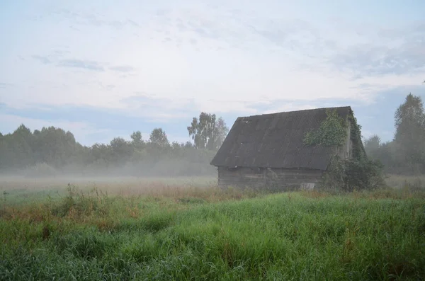 古老的老房子在雾蒙蒙的大自然背景下 雾中绿草覆盖的草场 案文的篇幅 — 图库照片