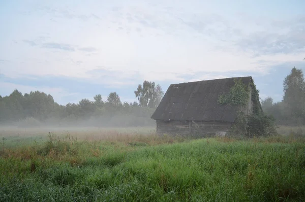 Vintage Gammalt Hus Dimma Naturen Bakgrund Äng Med Grönt Gräs — Stockfoto