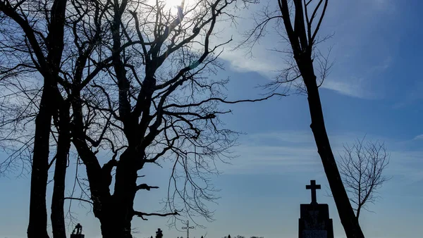 Eski Hıristiyan Haçı Ağaç Dalları Güneş Işığı Klasik Mavi Gökyüzü — Stok fotoğraf