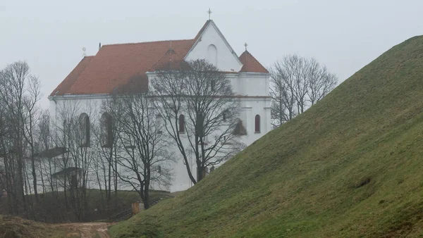 Farnesische Kirche Der Verklärung Des Herrn Nowogrudok Weißrussland Nebelige Landschaft — Stockfoto