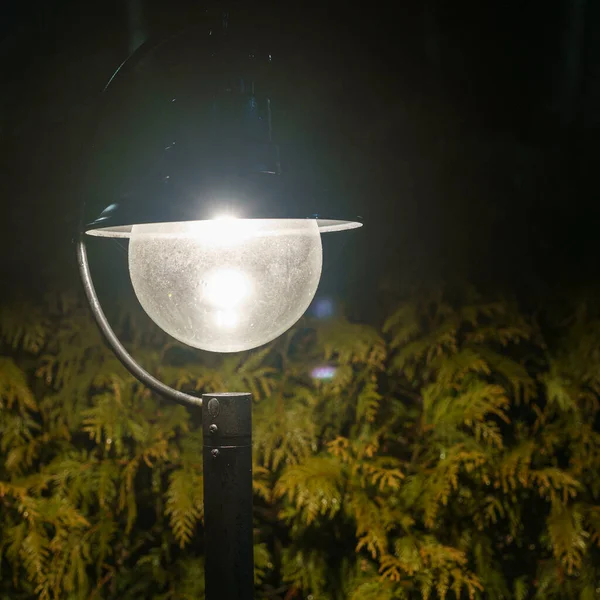 背景は ブッシュその小さな光です コピースペースと魔法の通りランプのクローズアップ 夜の背景に暖かい提灯の光 テキストのスペース — ストック写真